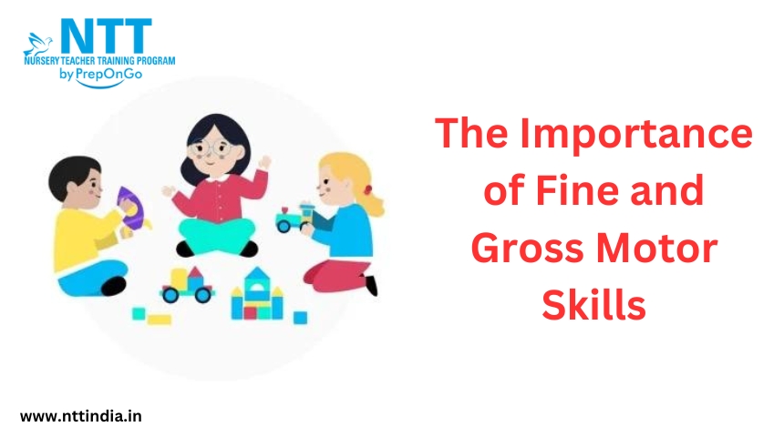 The Importance of fine Motor Skills